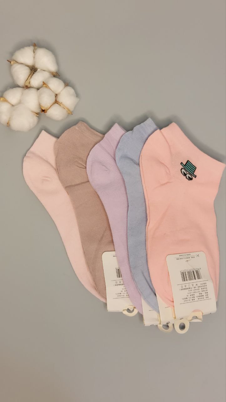 جوراب و پاپوش